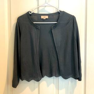 Loft Blue Cardigan